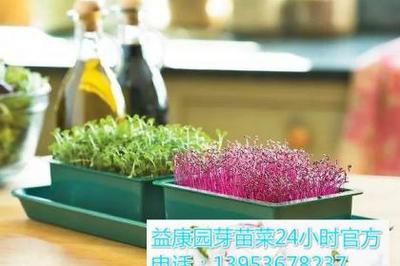 多媒體技術(shù)研發(fā) 驅(qū)動數(shù)字時代創(chuàng)新與應(yīng)用的新引擎